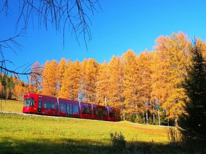 Stubaitalbahn-Herbst.jpg